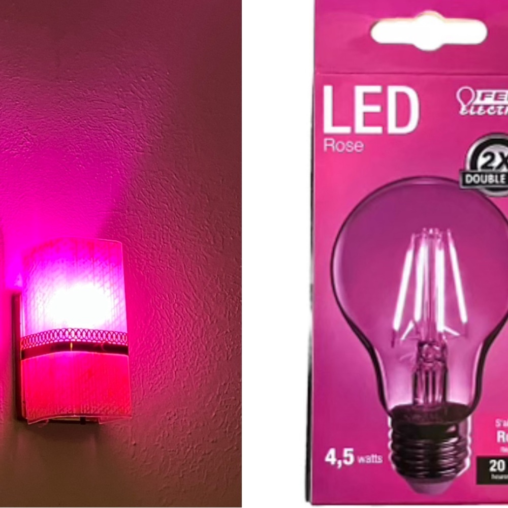 Pink Rose Dimmable LED Light Bulb A19 4.5 Watts 20,000 Life Hours NEW in Box